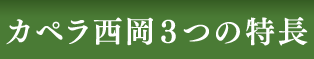 カペラ西岡３つの特長